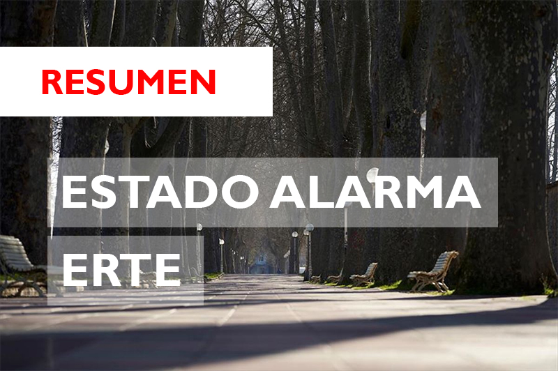 ESTADO ALARMA DECRETO ERTE TRABAJO EMPRESA