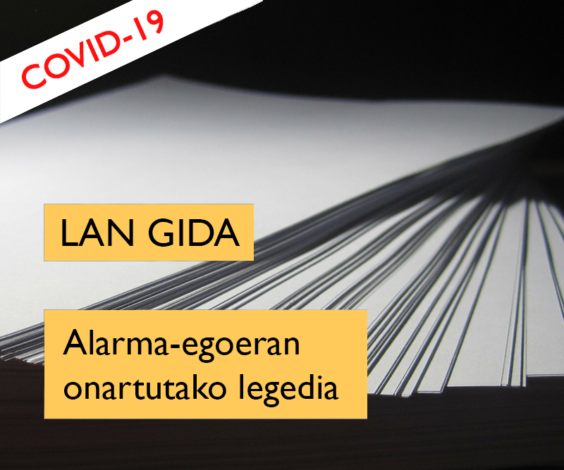 Lan gida COVID-19 coronavirus Alarma Egoera