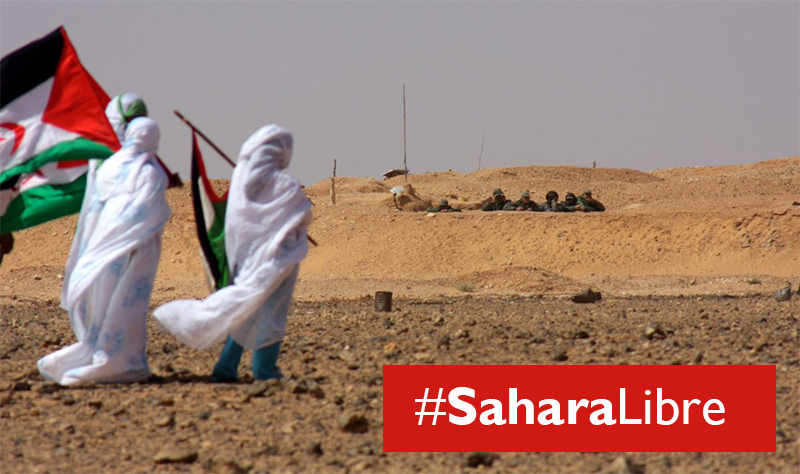 Sahara libre