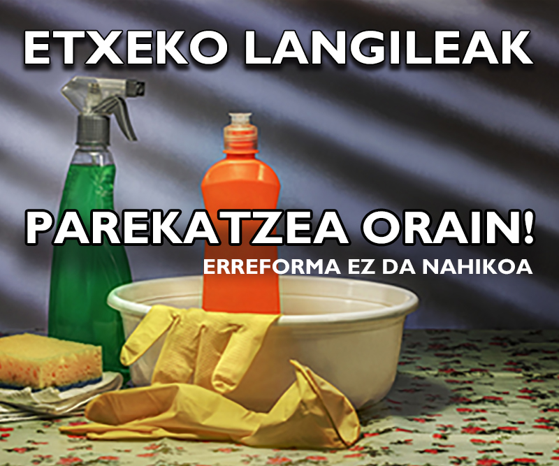 Etxeko langileak erreforma