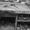 ESK denuncia ante inspección de trabajo el lamentable estado del taller mecánico de Basurto